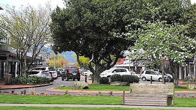 Spring In Rotorua.