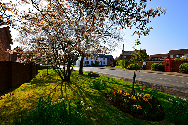 Haughton, Staffordshire