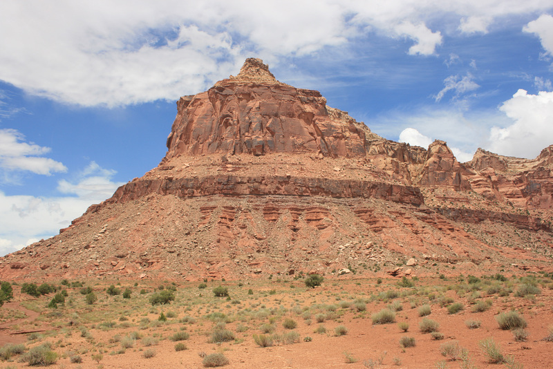 IMG 7461