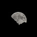 Der Mond ... - 2016-10-15_D4_DSC9382