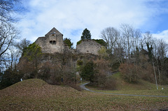 Hohenbregenz Castle