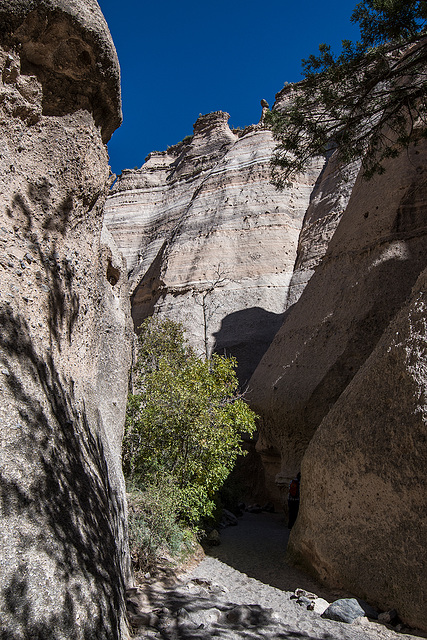 New Mexico slot canyon39