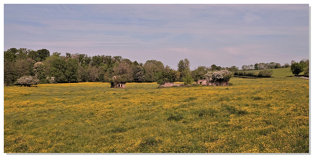 106 Pré jaune. 106 Pré jaune.