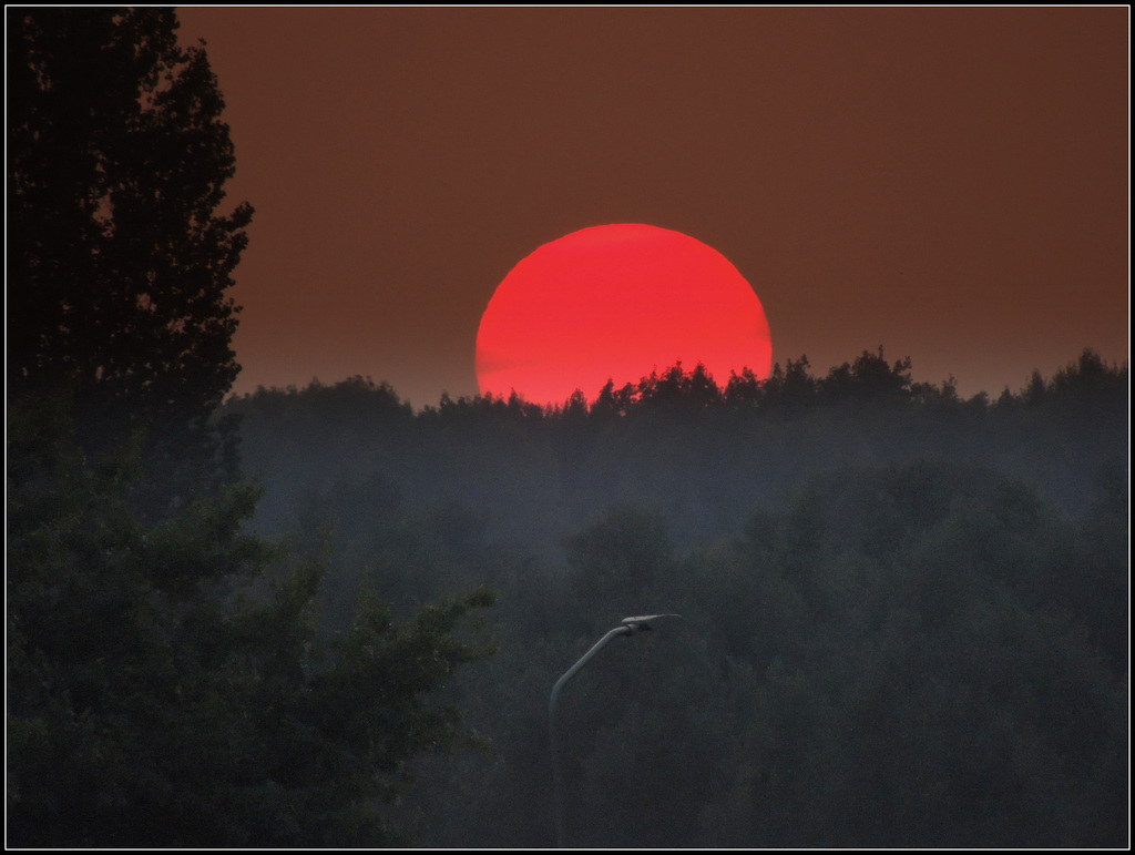 Misty sunset