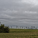 20250413+18+19_Benneckenstein Umfeld Moserteich,Carlshausturm