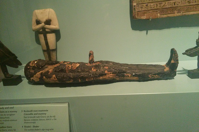 Rijksmuseum van Oudheden 2015 – Osiris as a mummy