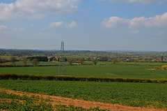 Stafford fields