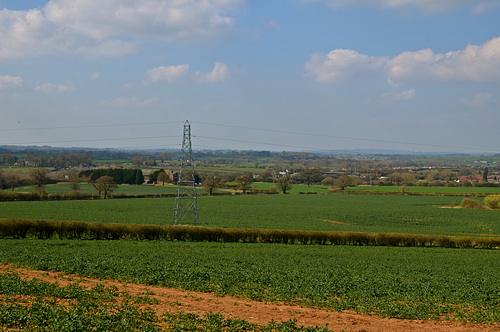 Stafford fields