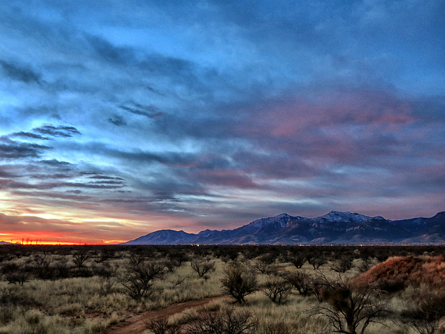 The Huachuca Mountains