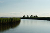 River Waveney