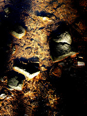 It Was Rippled and Shining and Golden