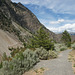 Trail By Seton Lake