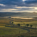 Un matin en Aubrac