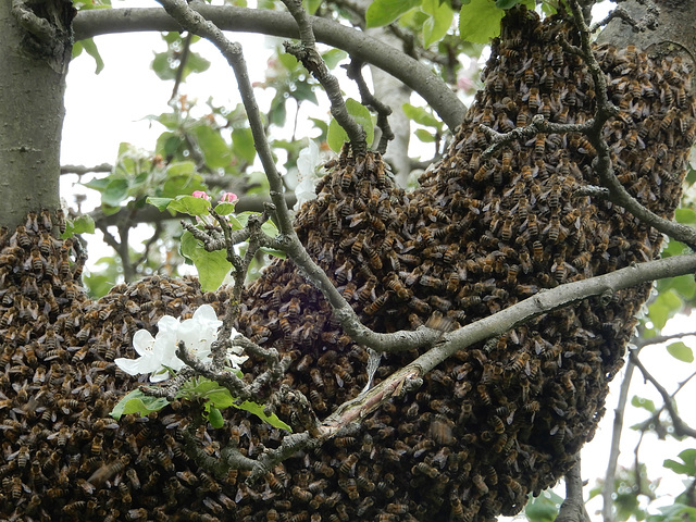 Ausflug in den Frühling