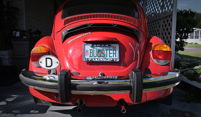 Bugster