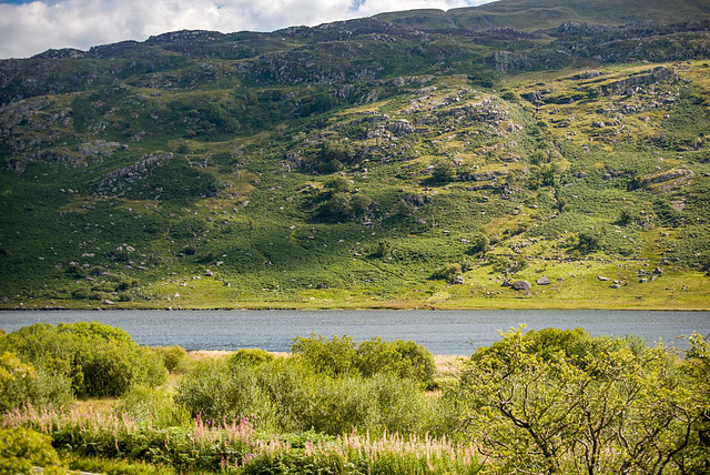 Welsh hills