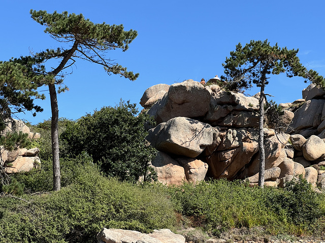 Le chemin des Douaniers Perros Guirec