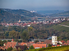 Blick von Sommerhausen auf die Festung Marienberg