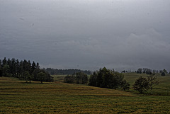 20250413+18+19_Benneckenstein Umfeld Moserteich,Carlshausturm 20250413+18+19_Benneckenstein Umfeld Moserteich,Carlshausturm