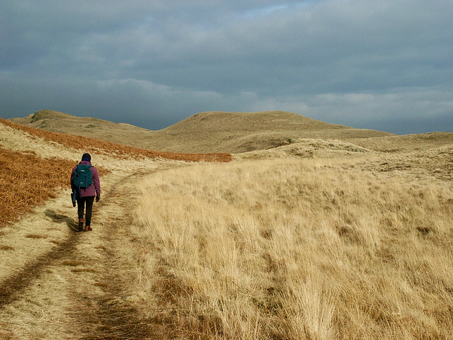 Along the High Rigg ridge