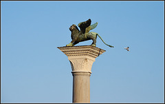 La colonna di San Marco