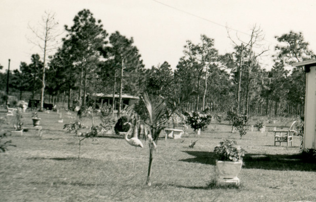 The Yard — Graveyard or Yard Art?