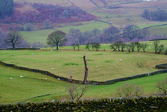 Arnfield Farmland