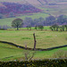 Arnfield Farmland