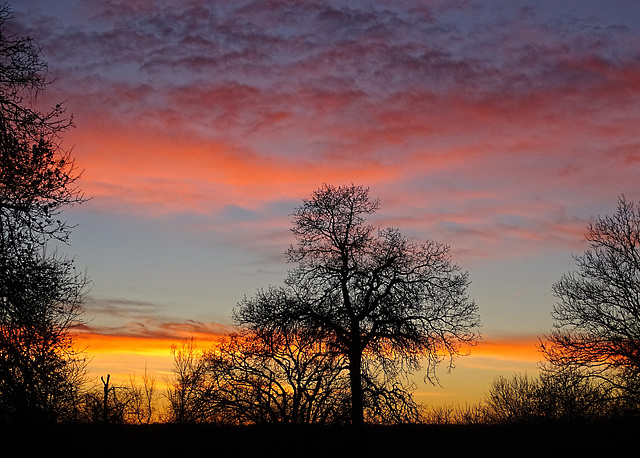 Lunar New Year Sunset 8-2-2016  新年快樂