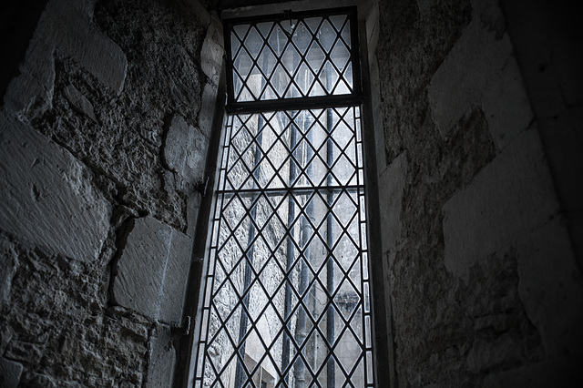 Window