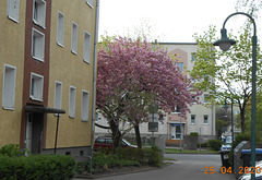 Frühling (2)