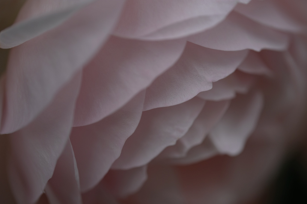 DSCF0692