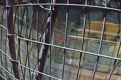 Happy Fence Friday!