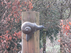 Snails
