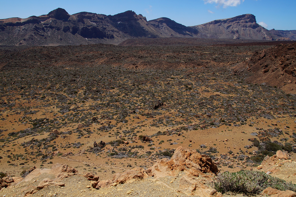 Wandern in den Cañadas del Teide #3