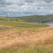 Pennine view near Carbrook