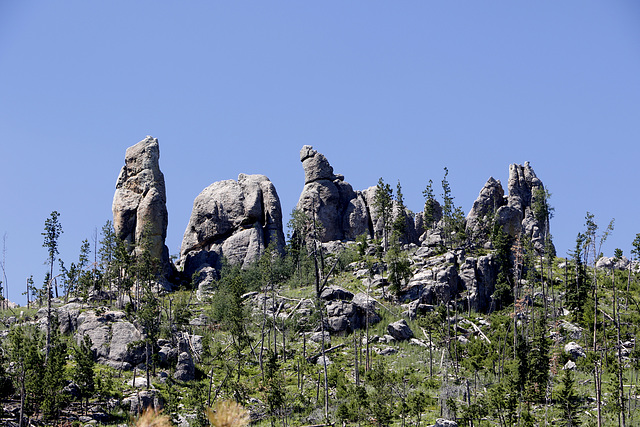 Cathedral Spires