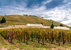 Tain L'Hermitage