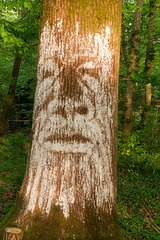 Les arbres sont des personnes (2)
