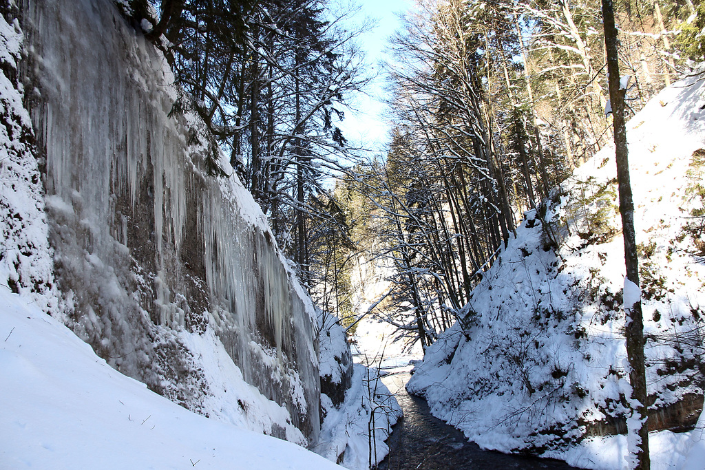 Eiszapfenwand im Eistobel (PIP)