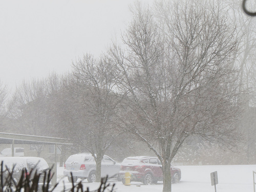 The first major snowstorm this year in Michigan