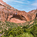 Zion NP - The Great Arch - 1986