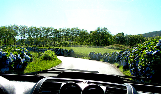 Beyond the Curve of the Road...Ponta Delgada is waiting for you