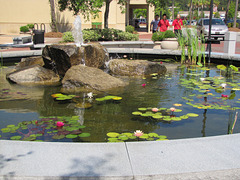A neat Water feature at a Shopping Mall.... Photo 1 ~~
