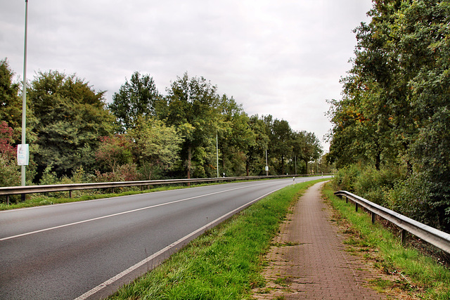 Emmericher Straße (Duisburg) / 3.10.2022