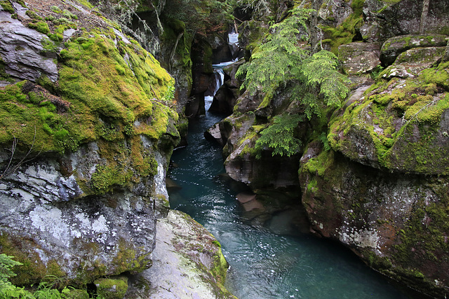 Avalanche Creek