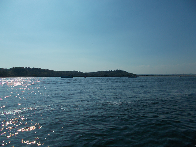 flp : Parade of LifeBoats {14 of 33}