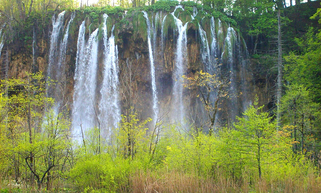 Parc national de Plivitce en Croatie.