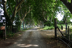 Viale Granier Frères