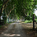 Viale Granier Frères